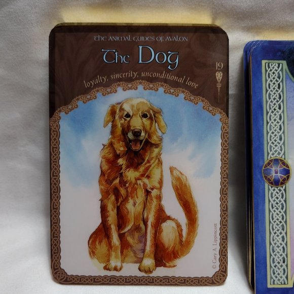 🌟The Wisdom of Avalon Oracle Cards - Picture 7 of 12